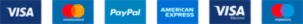 支付