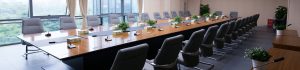 Wireless conference system
